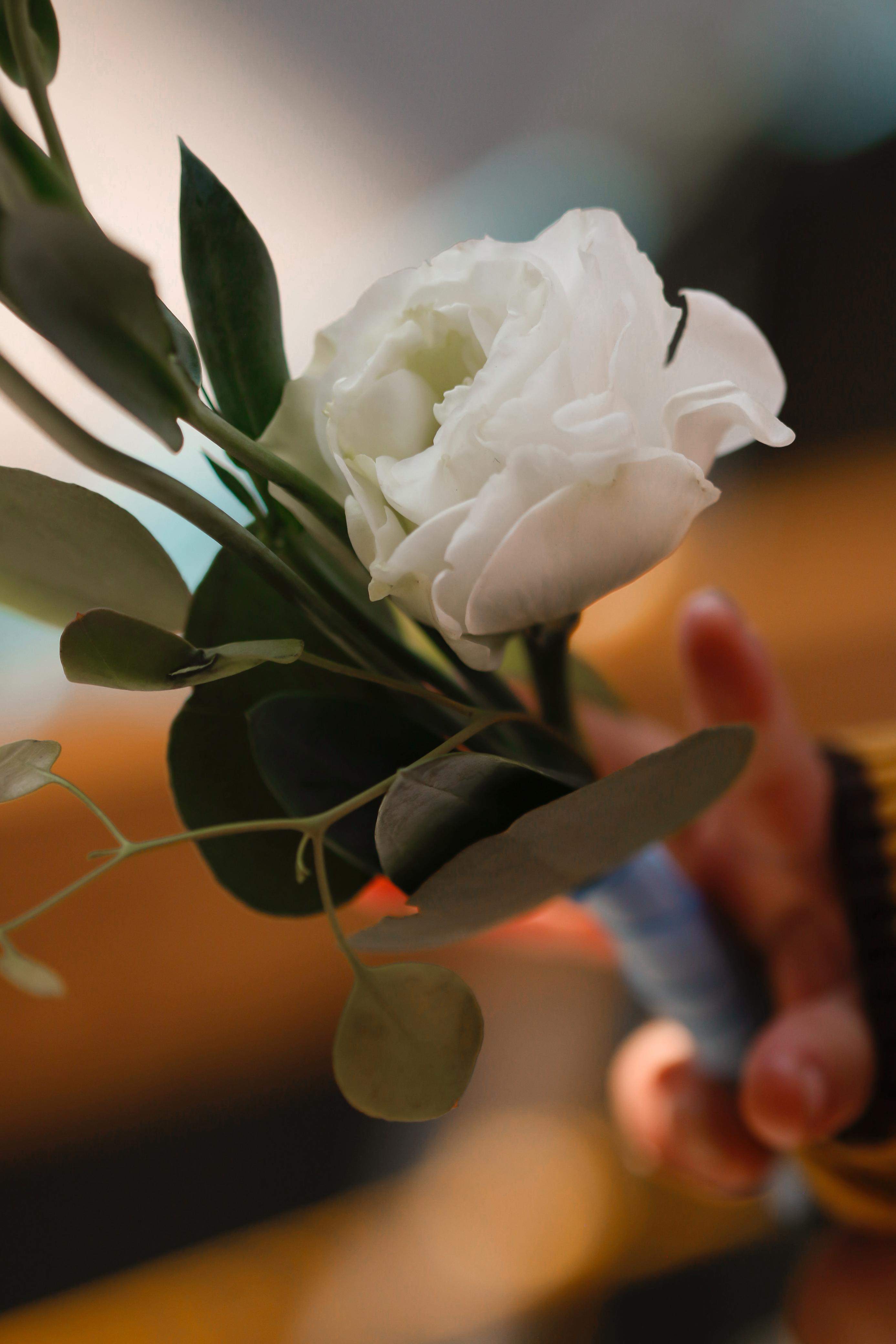Arreglo floral 32